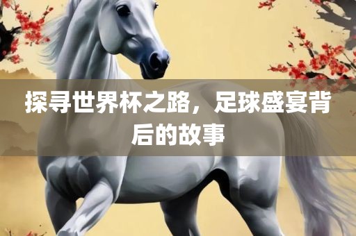探寻世界杯之路，足球盛宴背后的故事
