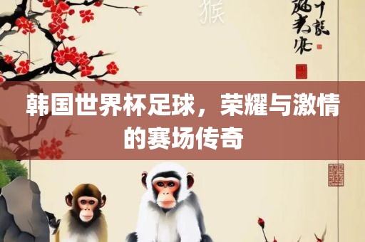韩国世界杯足球，荣耀与激情的赛场传奇