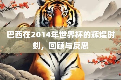 巴西在2014年世界杯的辉煌时刻，回顾与反思
