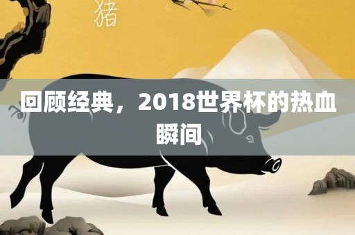 回顾经典，2018世界杯的热血瞬间