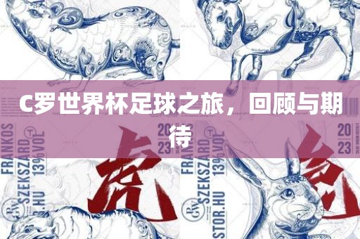 C罗世界杯足球之旅，回顾与期待