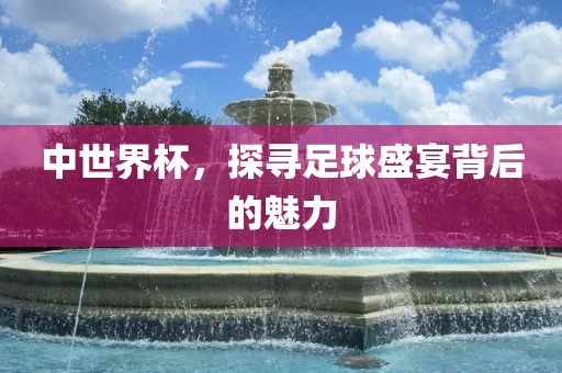 中世界杯，探寻足球盛宴背后的魅力