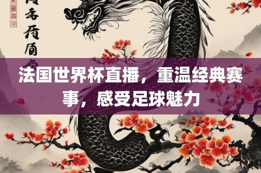 法国世界杯直播，重温经典赛事，感受足球魅力