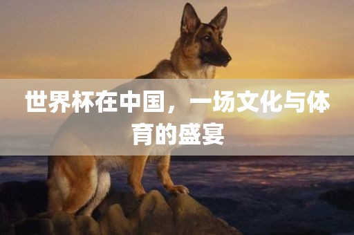 世界杯在中国，一场文化与体育的盛宴