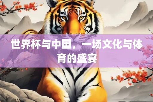 世界杯与中国，一场文化与体育的盛宴