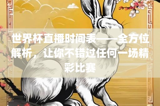 世界杯直播时间表——全方位解析，让你不错过任何一场精彩比赛