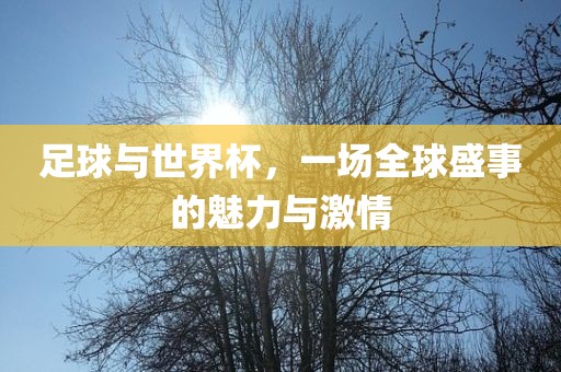 足球与世界杯，一场全球盛事的魅力与激情
