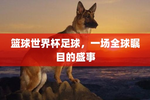 篮球世界杯足球，一场全球瞩目的盛事