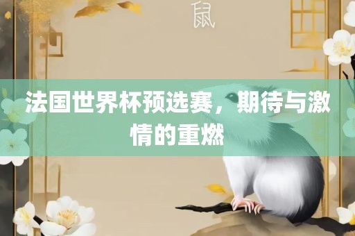 法国世界杯预选赛，期待与激情的重燃