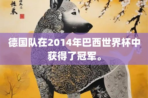 德国队在2014年巴西世界杯中获得了冠军。