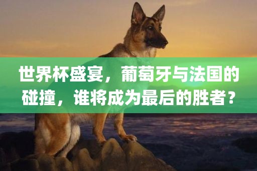 世界杯盛宴，葡萄牙与法国的碰撞，谁将成为最后的胜者？