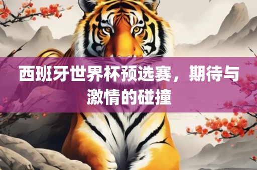 西班牙世界杯预选赛，期待与激情的碰撞