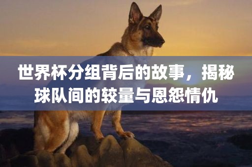 世界杯分组背后的故事，揭秘球队间的较量与恩怨情仇