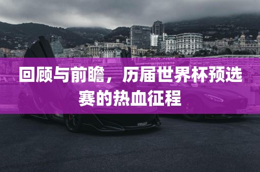 回顾与前瞻，历届世界杯预选赛的热血征程