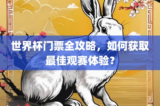 世界杯门票全攻略，如何获取最佳观赛体验？