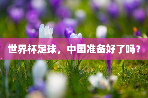 世界杯足球，中国准备好了吗？
