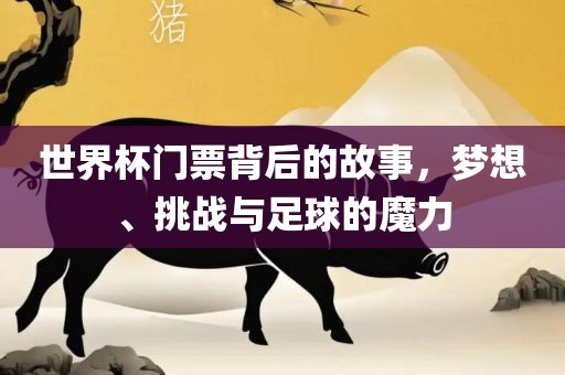 世界杯门票背后的故事，梦想、挑战与足球的魔力