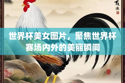 世界杯美女图片，聚焦世界杯赛场内外的美丽瞬间