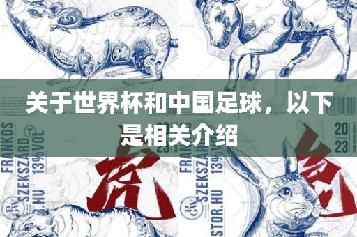 关于世界杯和中国足球，以下是相关介绍