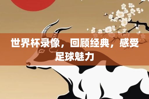世界杯录像，回顾经典，感受足球魅力