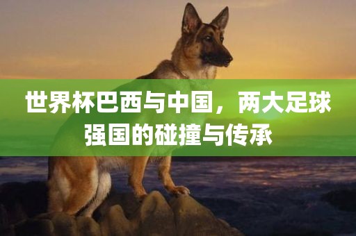 世界杯巴西与中国，两大足球强国的碰撞与传承