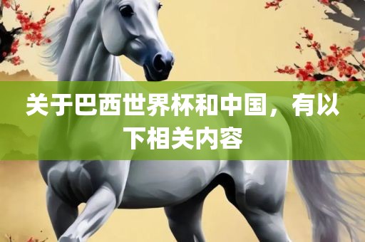 关于巴西世界杯和中国，有以下相关内容
