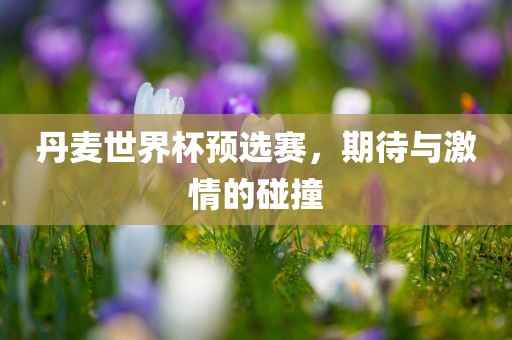 丹麦世界杯预选赛，期待与激情的碰撞