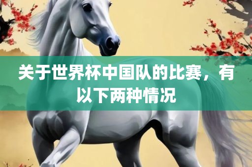 关于世界杯中国队的比赛，有以下两种情况