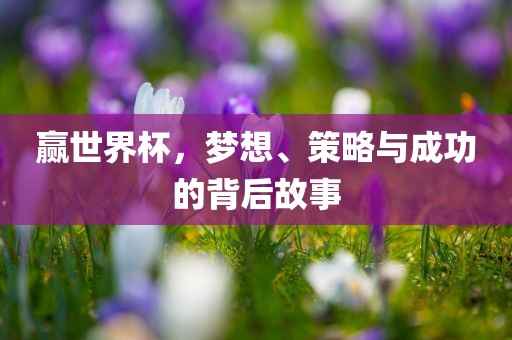赢世界杯，梦想、策略与成功的背后故事