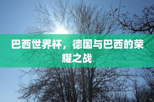 巴西世界杯，德国与巴西的荣耀之战