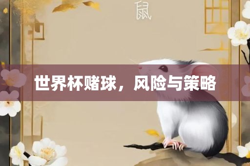 世界杯赌球，风险与策略