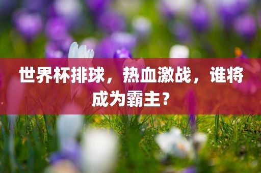 世界杯排球，热血激战，谁将成为霸主？