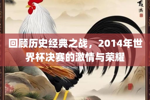 回顾历史经典之战，2014年世界杯决赛的激情与荣耀