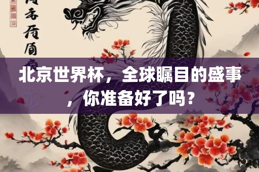 北京世界杯，全球瞩目的盛事，你准备好了吗？