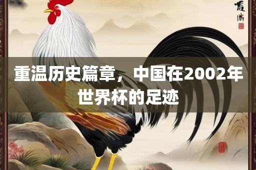 重温历史篇章，中国在2002年世界杯的足迹