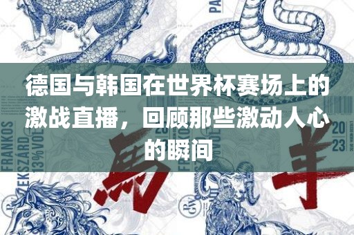 德国与韩国在世界杯赛场上的激战直播，回顾那些激动人心的瞬间