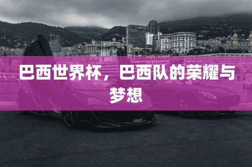 巴西世界杯，巴西队的荣耀与梦想