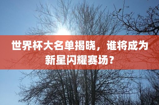 世界杯大名单揭晓，谁将成为新星闪耀赛场？