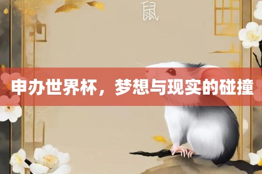 申办世界杯，梦想与现实的碰撞