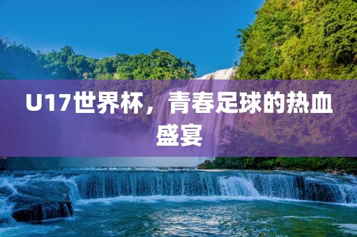 U17世界杯，青春足球的热血盛宴