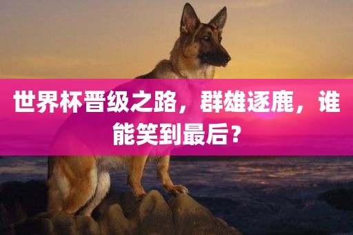 世界杯晋级之路，群雄逐鹿，谁能笑到最后？
