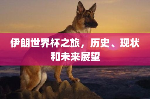 伊朗世界杯之旅，历史、现状和未来展望