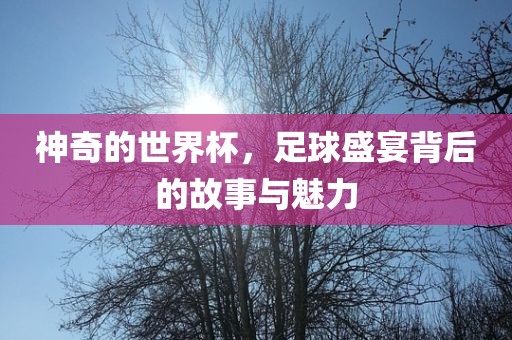 神奇的世界杯，足球盛宴背后的故事与魅力