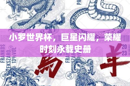 小罗世界杯，巨星闪耀，荣耀时刻永载史册