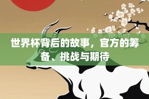 世界杯背后的故事，官方的筹备、挑战与期待