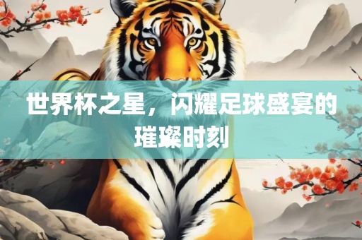 世界杯之星，闪耀足球盛宴的璀璨时刻
