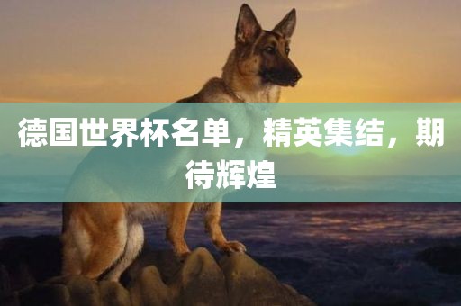 德国世界杯名单，精英集结，期待辉煌
