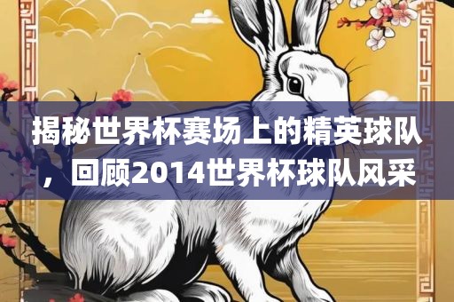 揭秘世界杯赛场上的精英球队，回顾2014世界杯球队风采