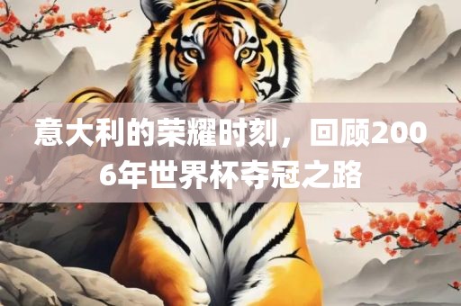 意大利的荣耀时刻，回顾2006年世界杯夺冠之路
