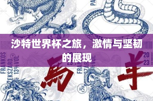 沙特世界杯之旅，激情与坚韧的展现